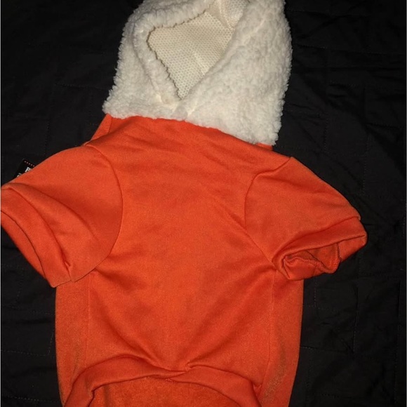Pet Costume Orange and White Dog Sweater Pumpkin Spice Design - Picture 4 of 5